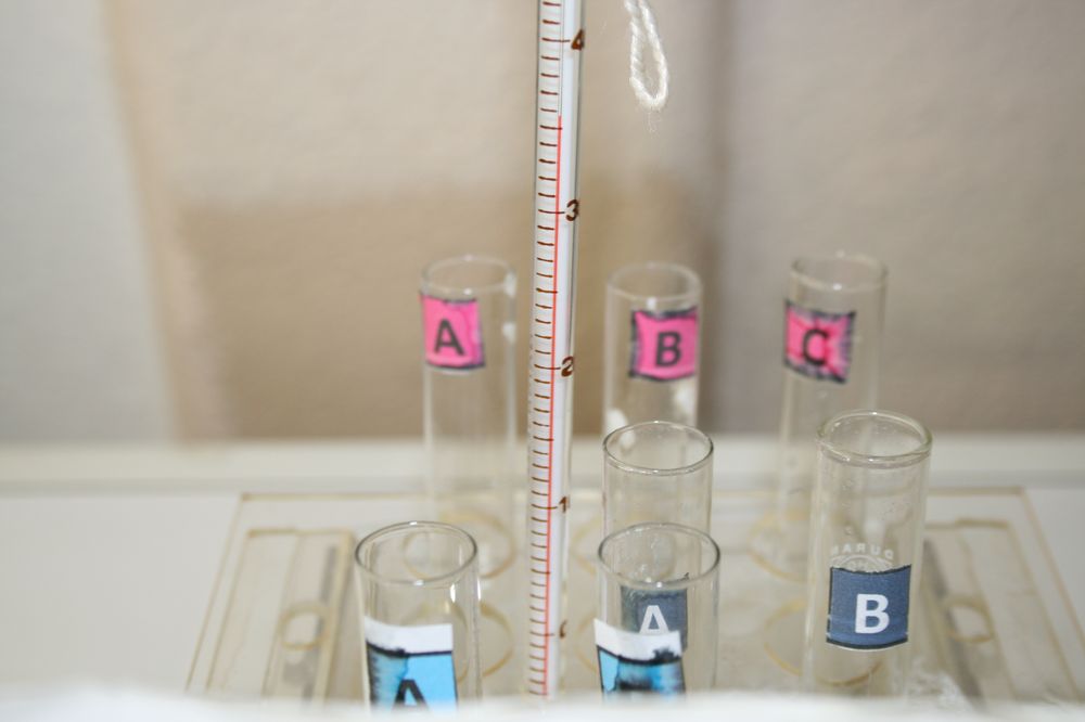 gal/LES_CINQUIEMES/ACTIVITE DIGESTION IN VITRO/Groupe_05/Groupe05_T_00h00min/Groupe05_T_00h_00min_15.JPG